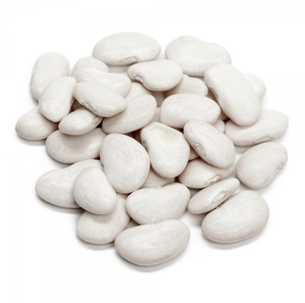 FAVA BRANCA GRAUDA