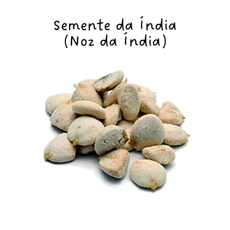 NOZ DA INDIA COM 12 UNIDADES