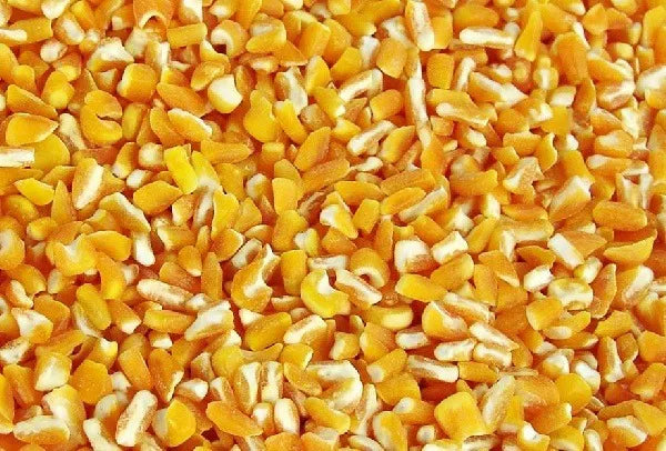 CANJICA AMARELA