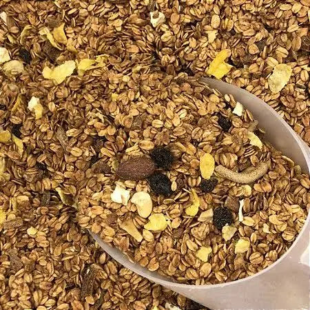 GRANOLA WS