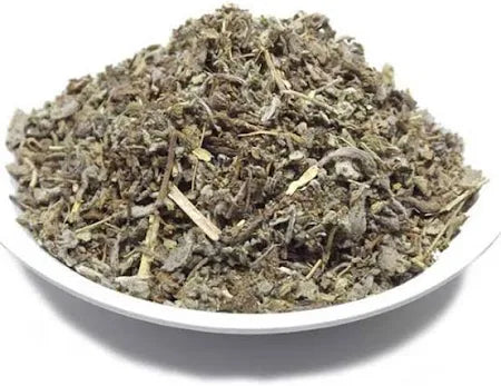 SALVIA