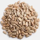 GIRASSOL S/CASCA TORRADO